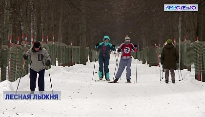 Вставай на лыжи: новый закон может снять ограничения на оборудование лыжных трасс