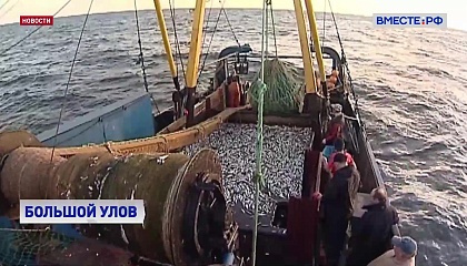 Россия сохраняет лидерские позиции по добыче водных биоресурсов в мире