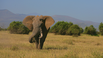 Россия расширяет безвиз с Африкой и увеличивает число прямых рейсов