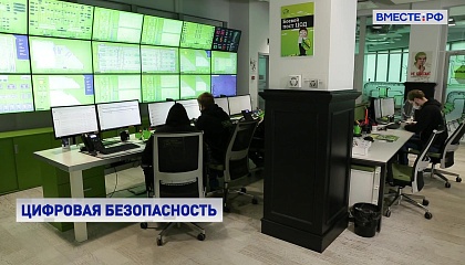 Утечка персональных данных остается основной проблемой информационной безопасности, считает сенатор Рукавишникова