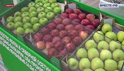 В РФ растет число производителей органической продукции