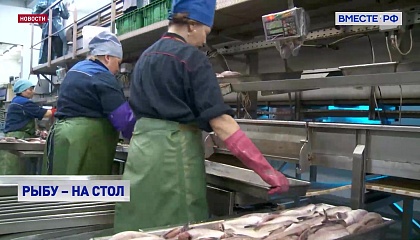 Рыбы станет больше на столах россиян: Правительство запускает комплексную программу поддержки отрасли