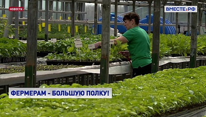 В России планируют официально закрепить понятие «фермерская продукция»