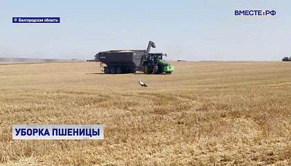 В Белгородской области аграрии приступили к уборке озимой пшеницы