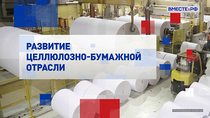 Специальный репортаж. Развитие целлюлозно-бумажной отрасли 