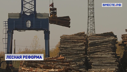 Реформу лесной отрасли обсудили в Совете Федерации