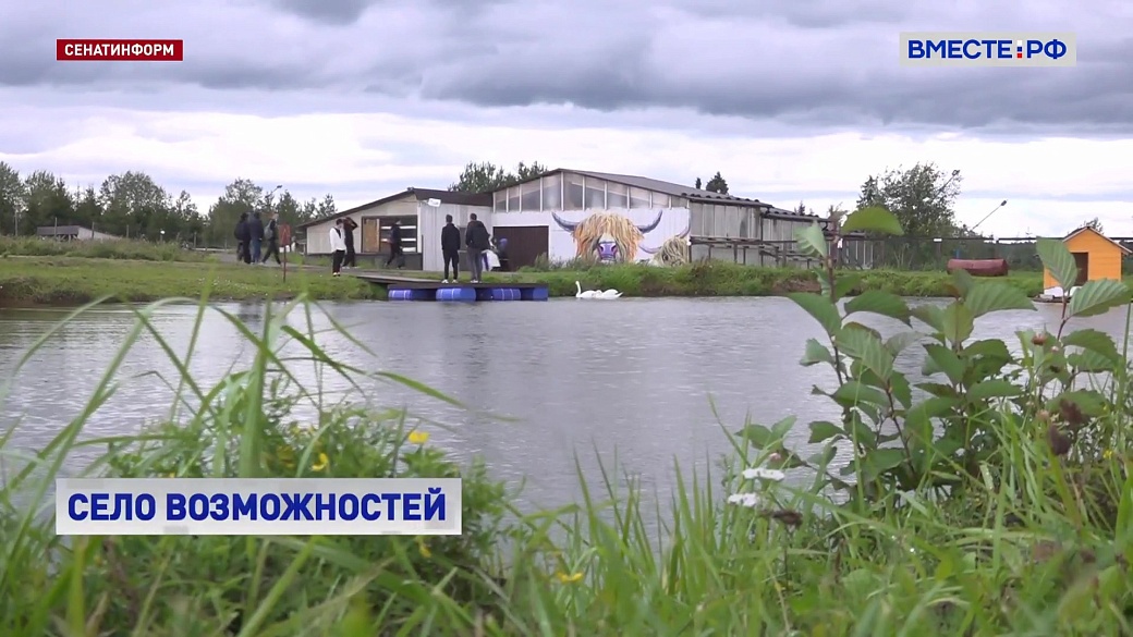 Local video