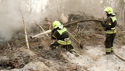 Россия и Беларусь будут вместе охранять леса от пожаров