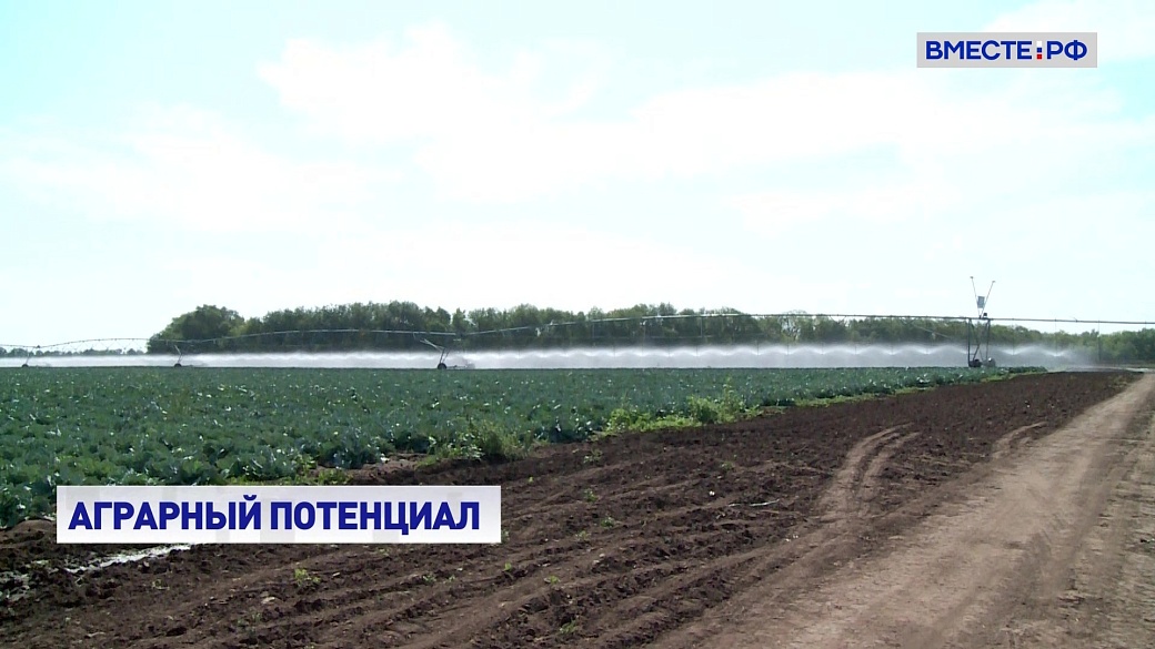 Local video