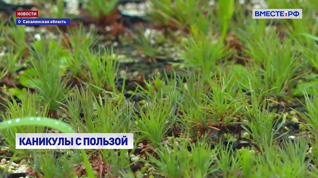 Local video