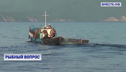 Глава Росрыболовства обсудил с сенаторами ключевые проблемы отрасли
