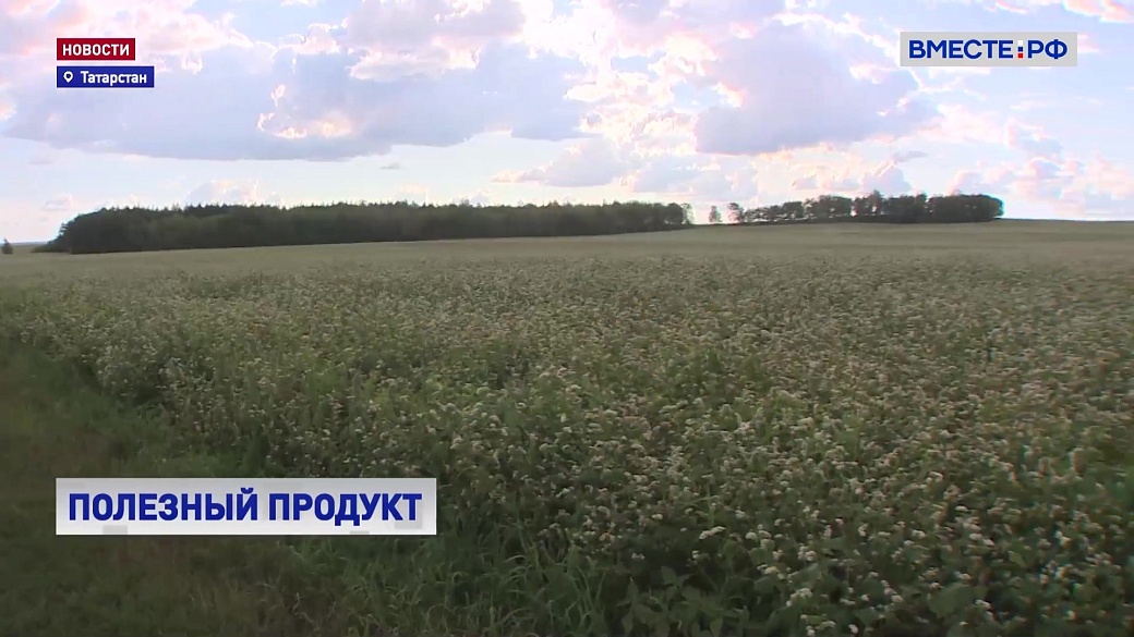 Local video