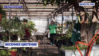 В Белгороде подготовили тысячи цветов и кустарников к весеннему сезону