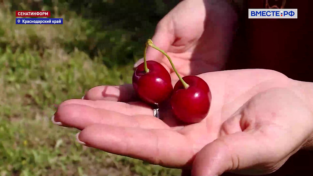 Local video