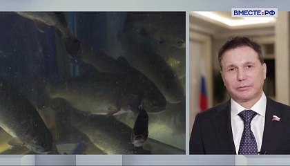 Сказано в Сенате. Игорь Зубарев. Как сделать рыбу доступной для россиян?