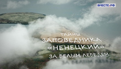 Тайны заповедника «Ненецкий». За белым лебедем 