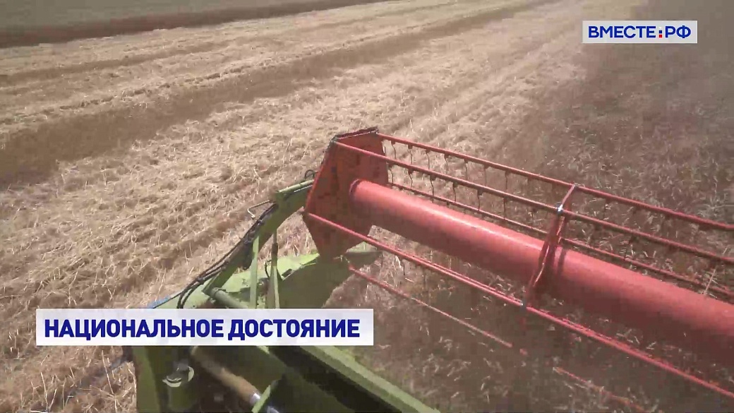 Local video