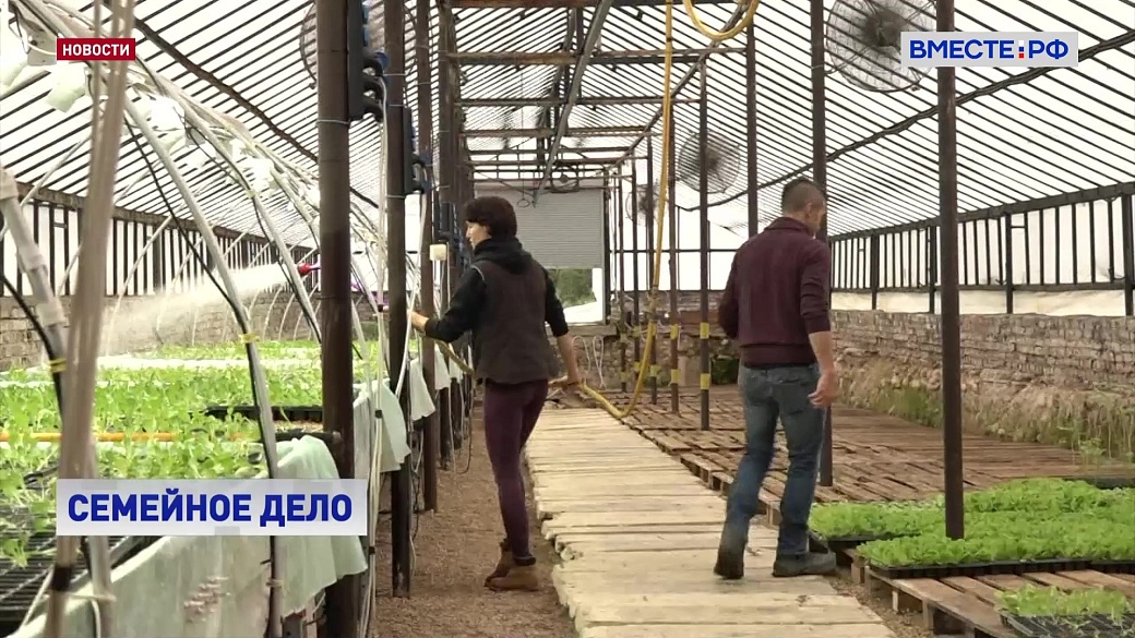 Local video