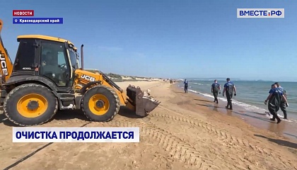 От мазута очистили свыше 600 км береговой линии Черного моря