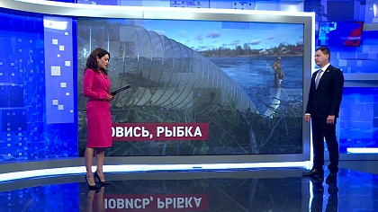 Сказано в Сенате. Игорь Зубарев. Восстановление популяции лосося в Карелии