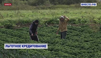 Сельхозпроизводители приграничных с Украиной территорий получат отсрочки по кредитам