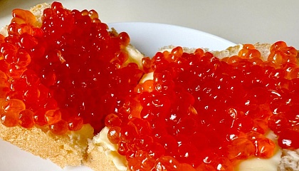 В России ужесточат контроль за рыбой и икрой