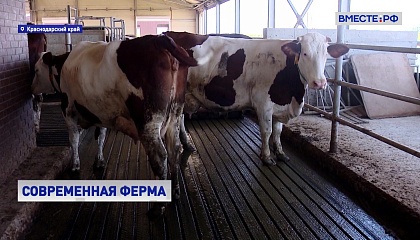 РЕПОРТАЖ: Искусственный интеллект на службе фермеров в Краснодарском крае