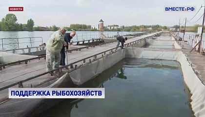 Рыбная отрасль на 75% обеспечена кормами российского производства