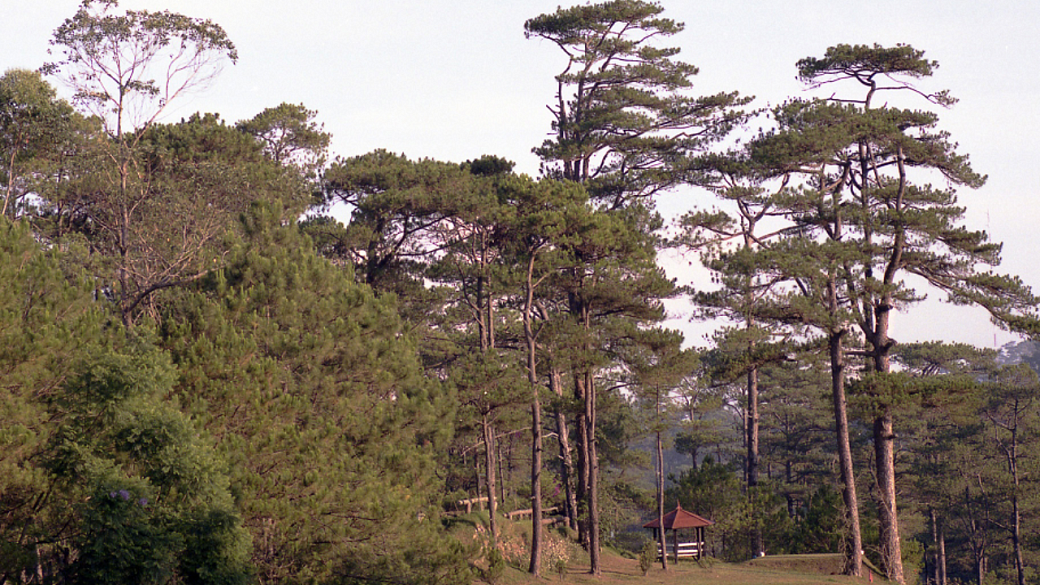 Фото: Alexandr Yakovlev/Russian Look