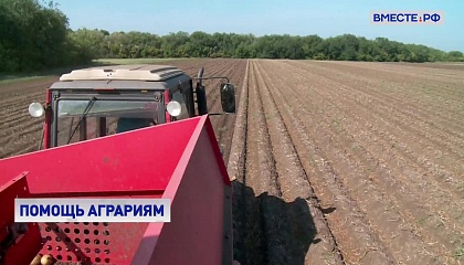 Вице-премьер Абрамченко получила упростить вовлечение в оборот сельскохозяйственных земель