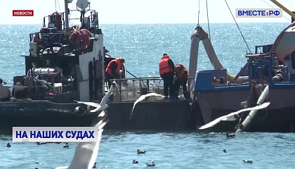 Российские верфи до конца года построят 19 рыбопромысловых судов