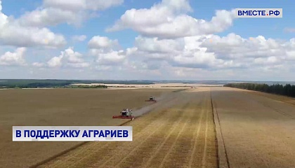 Процедура возмещения убытков с помощью агрострахования должна стать проще, считают в СФ