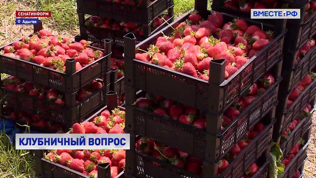 Local video