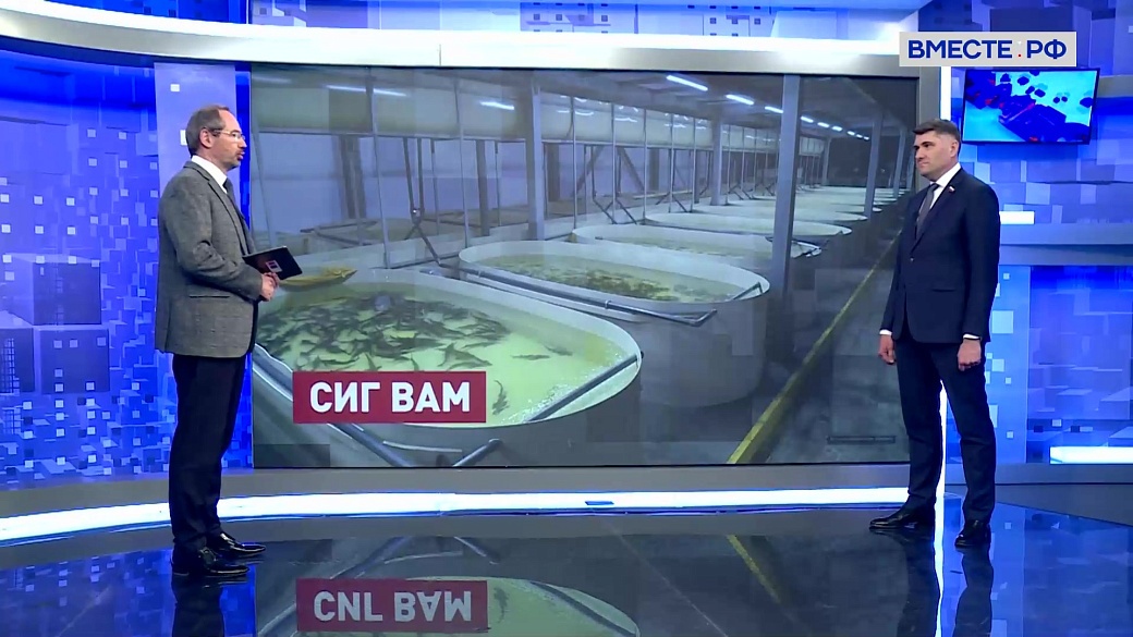 Сказано в Сенате. Владимир Пушкарев. Восстановление популяции ценных пород рыб