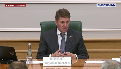 Заседание Совета по местному самоуправлению при СФ на тему «Актуальные вопросы стратегического планирования на муниципальном уровне: проблемы и пути решения»