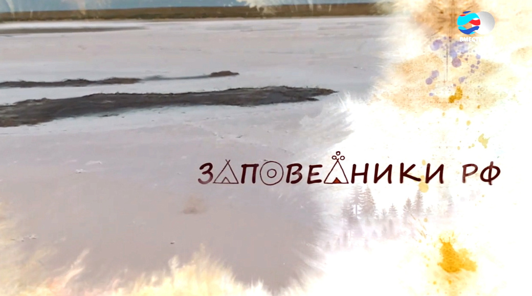 Local video