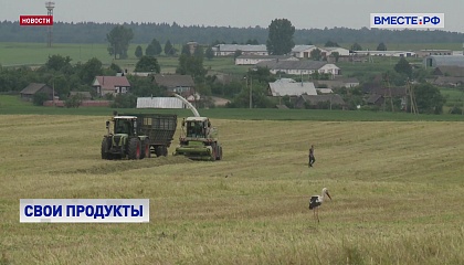 В Совете Федерации обсудили проблемы сельхозкооперации