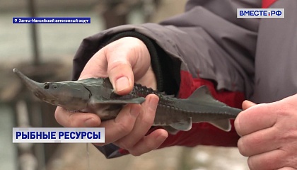 ХМАО требуется дополнительное финансирование для восстановления популяции ценных видов рыбы