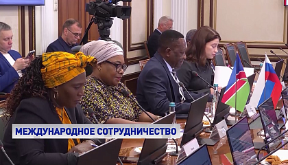 Наблюдатели из Намибии высоко оценили организацию выборов в РФ