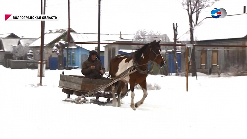 Волгоградская обл с харьковка погода старополтавский