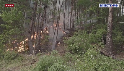 Больше 700 тысяч га леса охвачено природными пожарами в Якутии