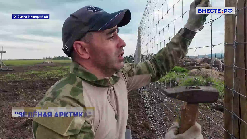 Local video