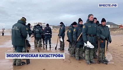 Ликвидация последствий разлива мазута в Керченском проливе будет на контроле у Правительства, заявил Путин