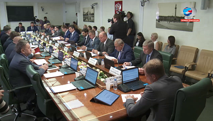 Расширенное заседание комитета Совета Федерации по экономической политике. Запись трансляции 25 июня 2019 года