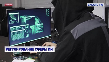В Совете Федерации обсудили меры правового регулирования технологий ИИ для защиты граждан от мошенников