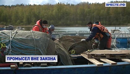 В СФ обсудили меры противодействия нелегальному промышленному вылову рыбы