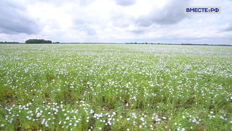 Вместе по России. Курганская область 