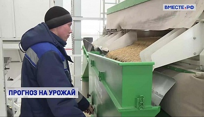 Селекционеры и ученые-аграрии уверены, что Россия самостоятельно справится с дефицитом семян