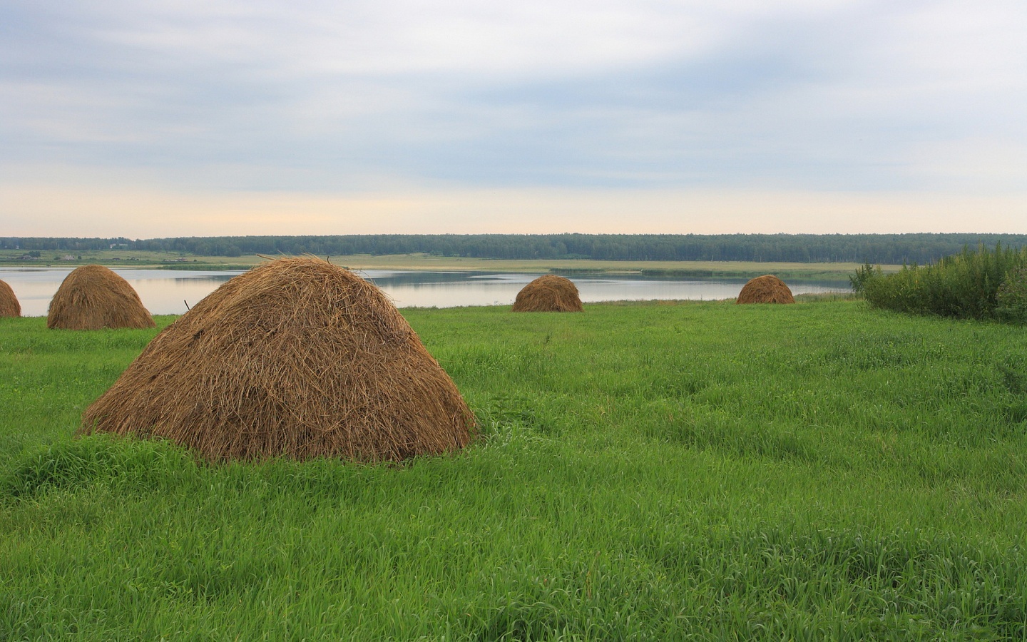 Курганская область. Копны сена на берегу озера Караси