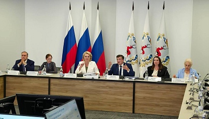 Нижегородская область поделится успешным опытом поддержки многодетных семей